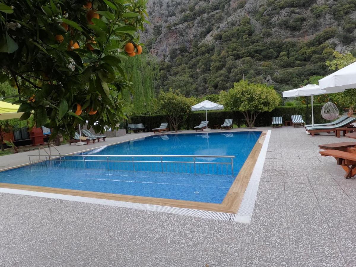Arcadia Villas Çıralı Extérieur photo