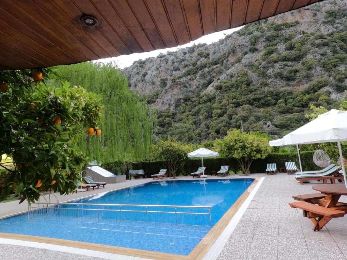 Arcadia Villas Çıralı Extérieur photo