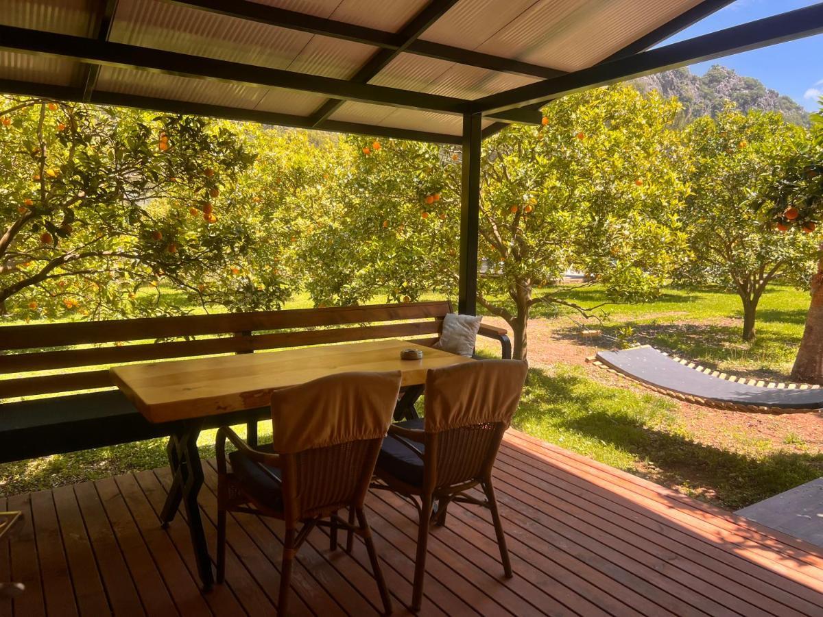 Arcadia Villas Çıralı Extérieur photo