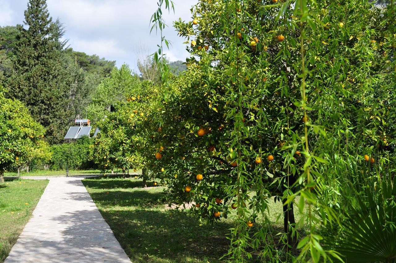 Arcadia Villas Çıralı Extérieur photo