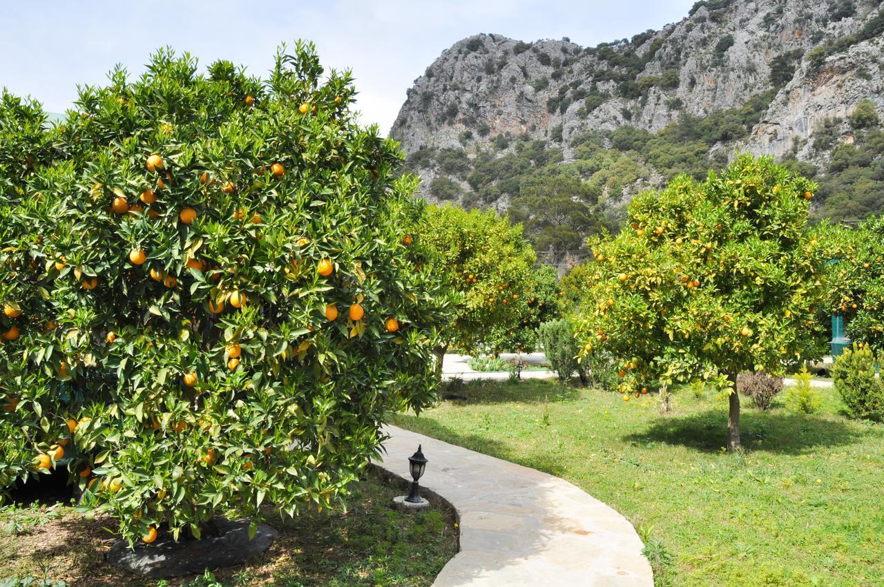 Arcadia Villas Çıralı Extérieur photo